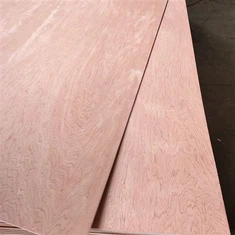 บานประตูไม้อัดบินตังกอร์